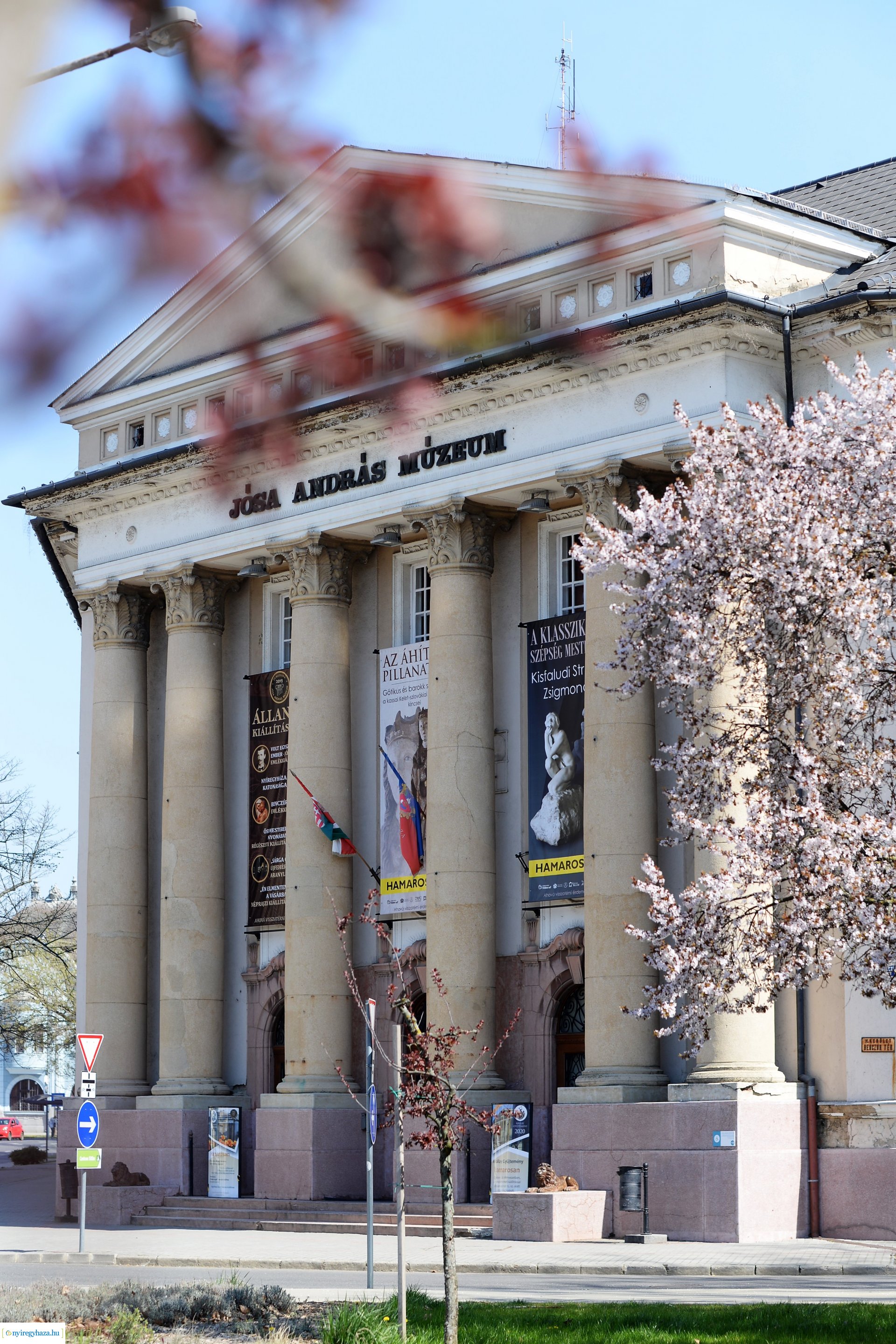 Belvárosunk tavaszi virágai