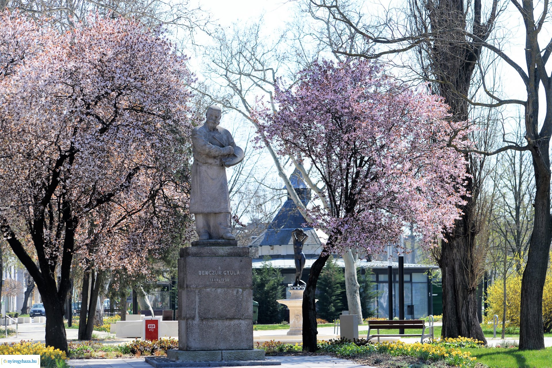 Belvárosunk tavaszi virágai