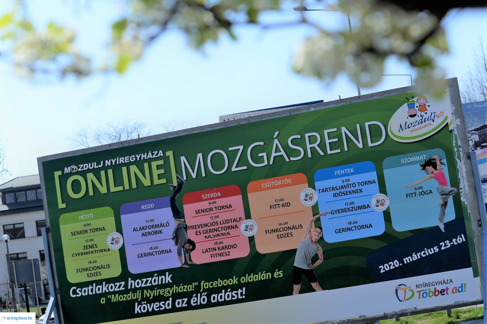 Belvárosunk tavaszi virágai