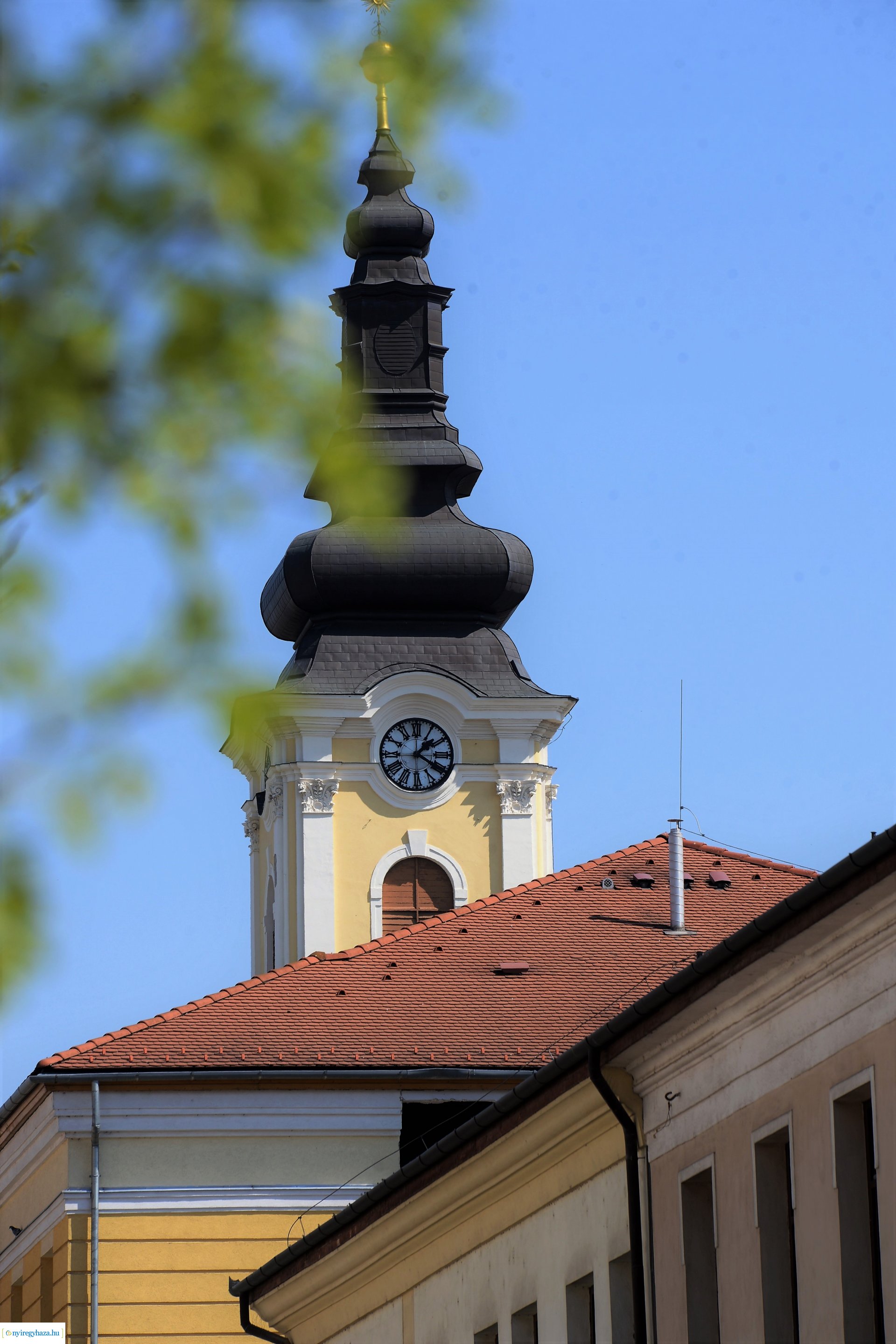Belvárosunk tavaszi virágai