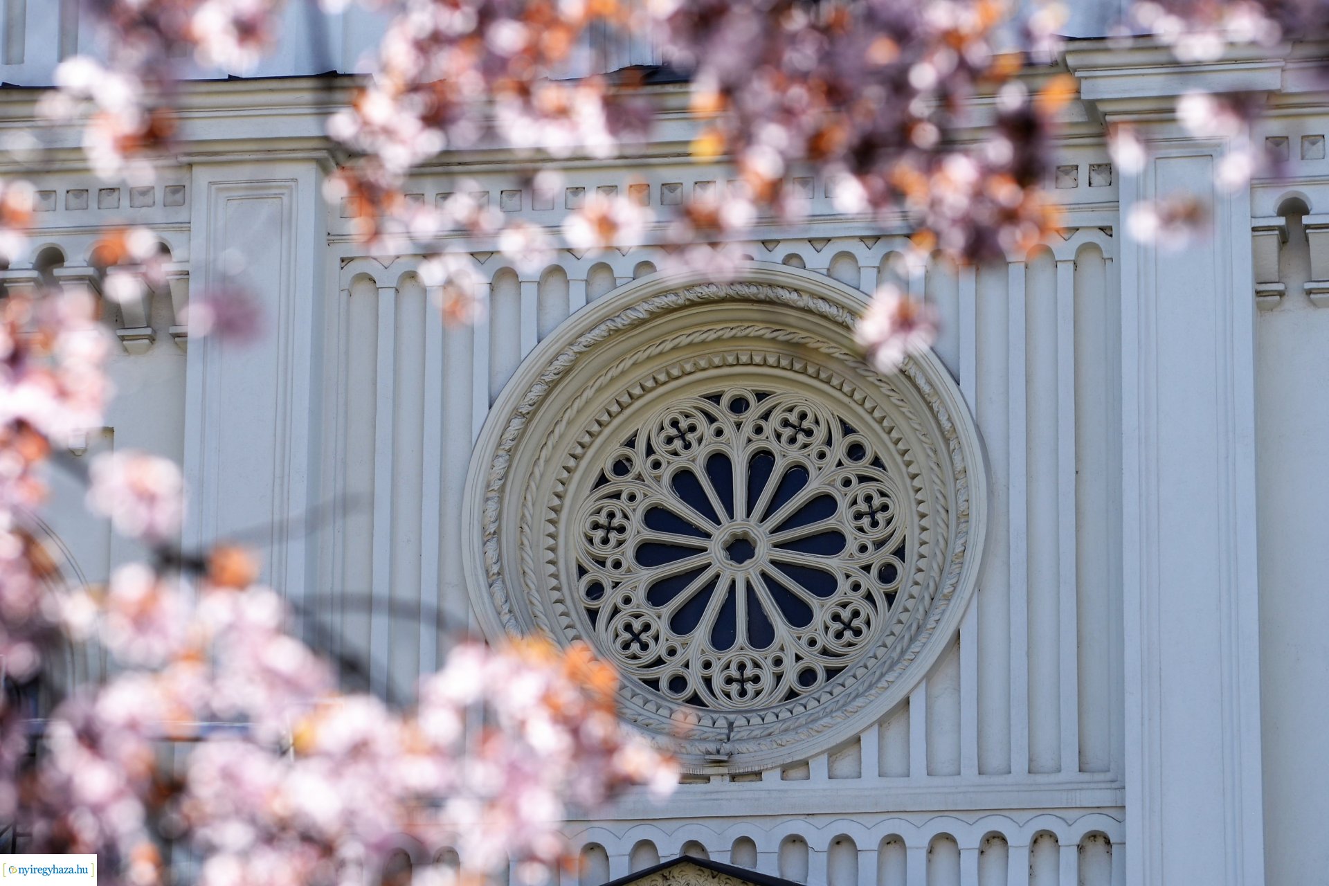 Belvárosunk tavaszi virágai