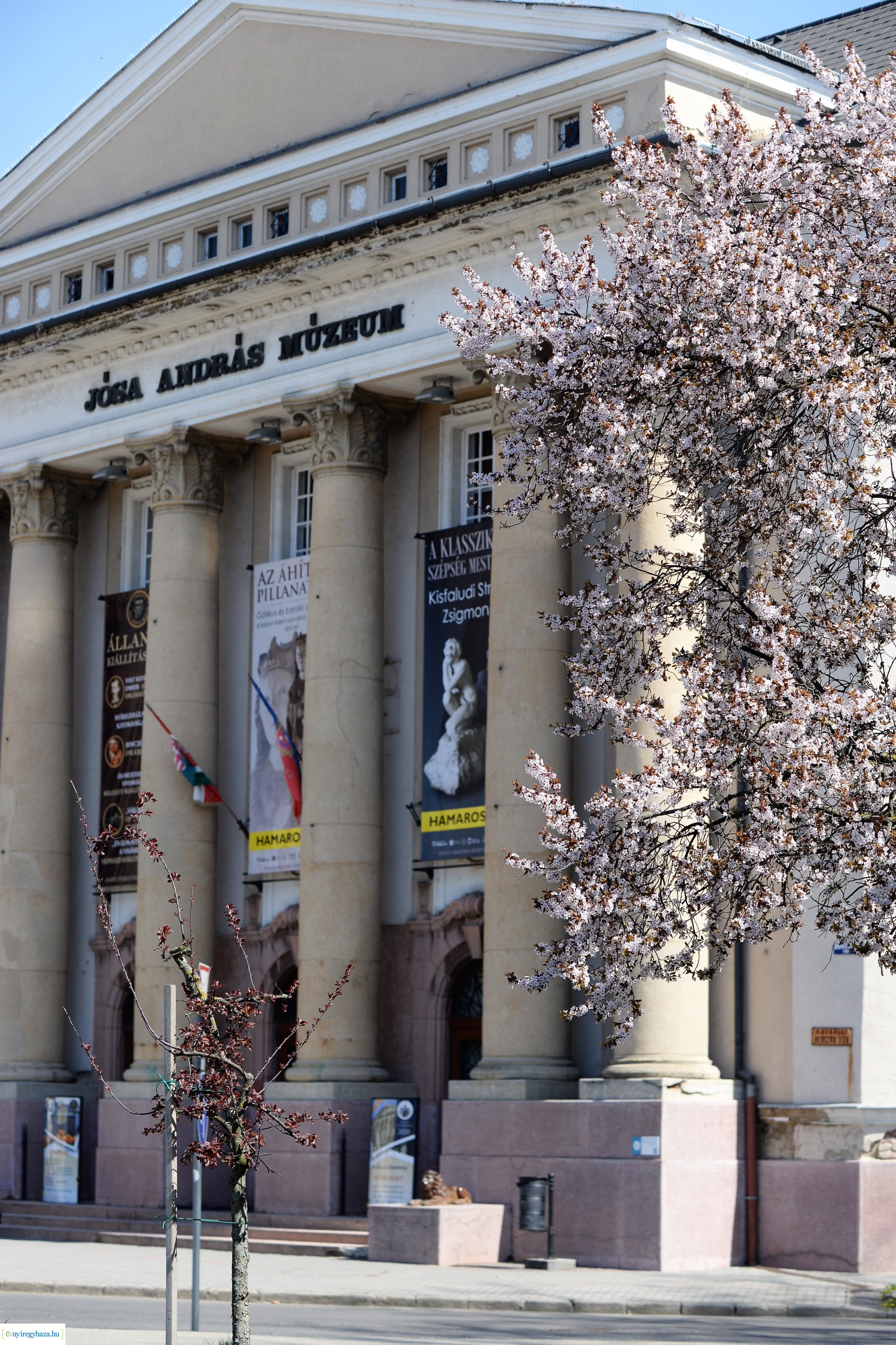 Belvárosunk tavaszi virágai