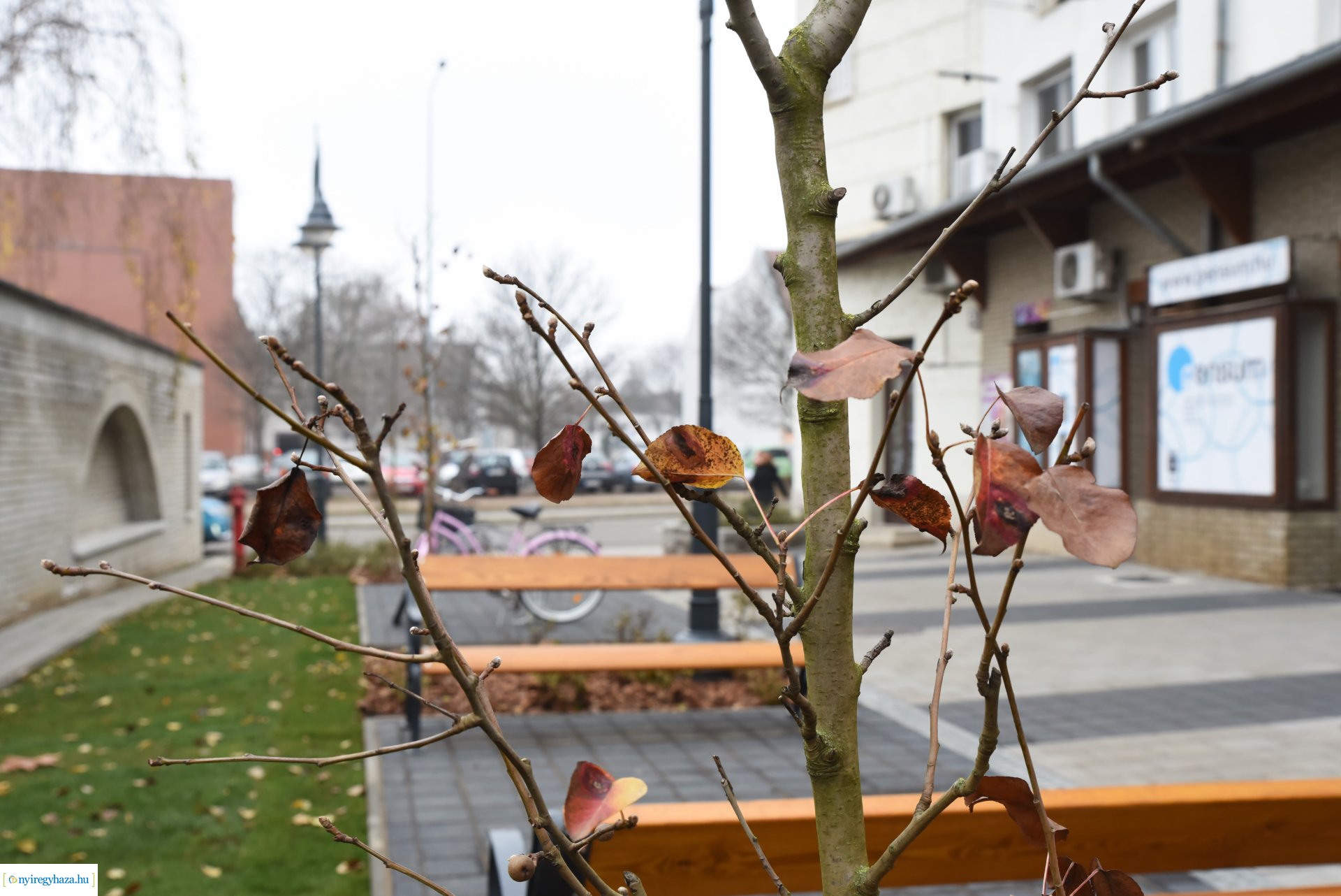 Bemutatták a megújult Szent Miklós teret az újságíróknak
