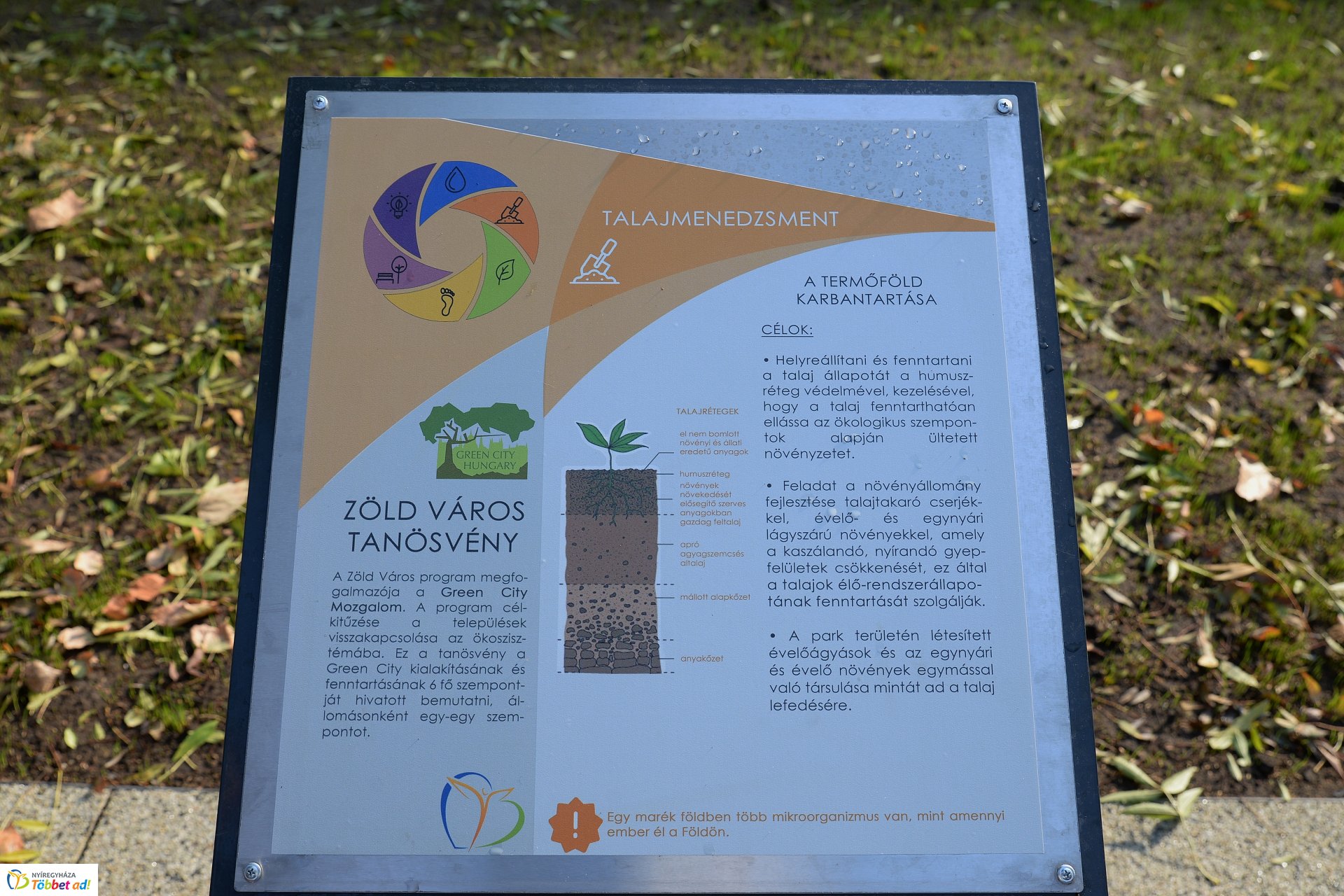 Benczúr-Bessenyi tér felújítása_2018.10.08.