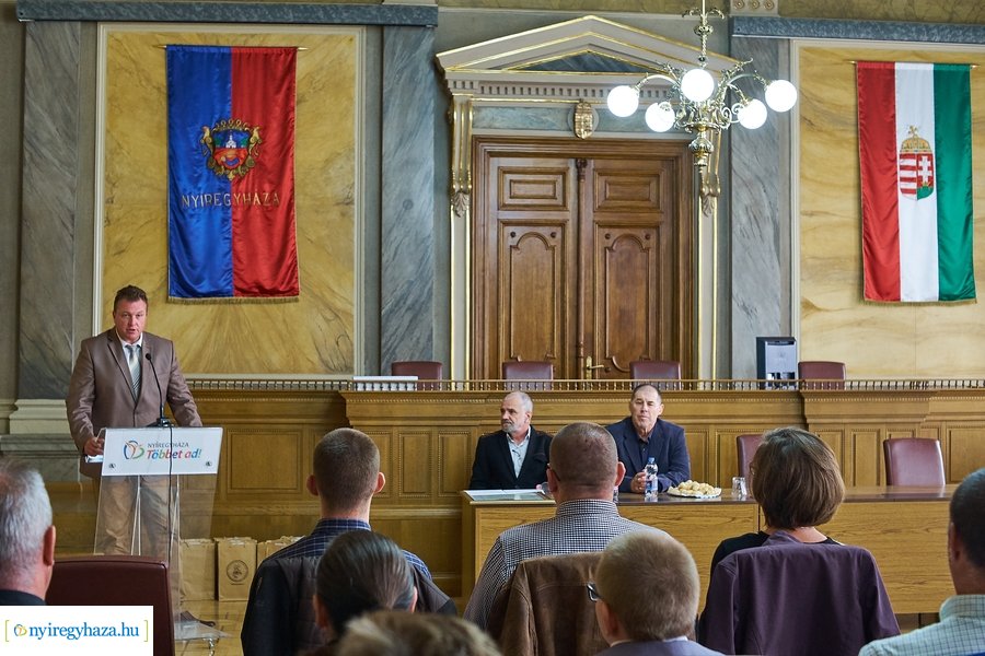 Birkózói díjak a Városházán