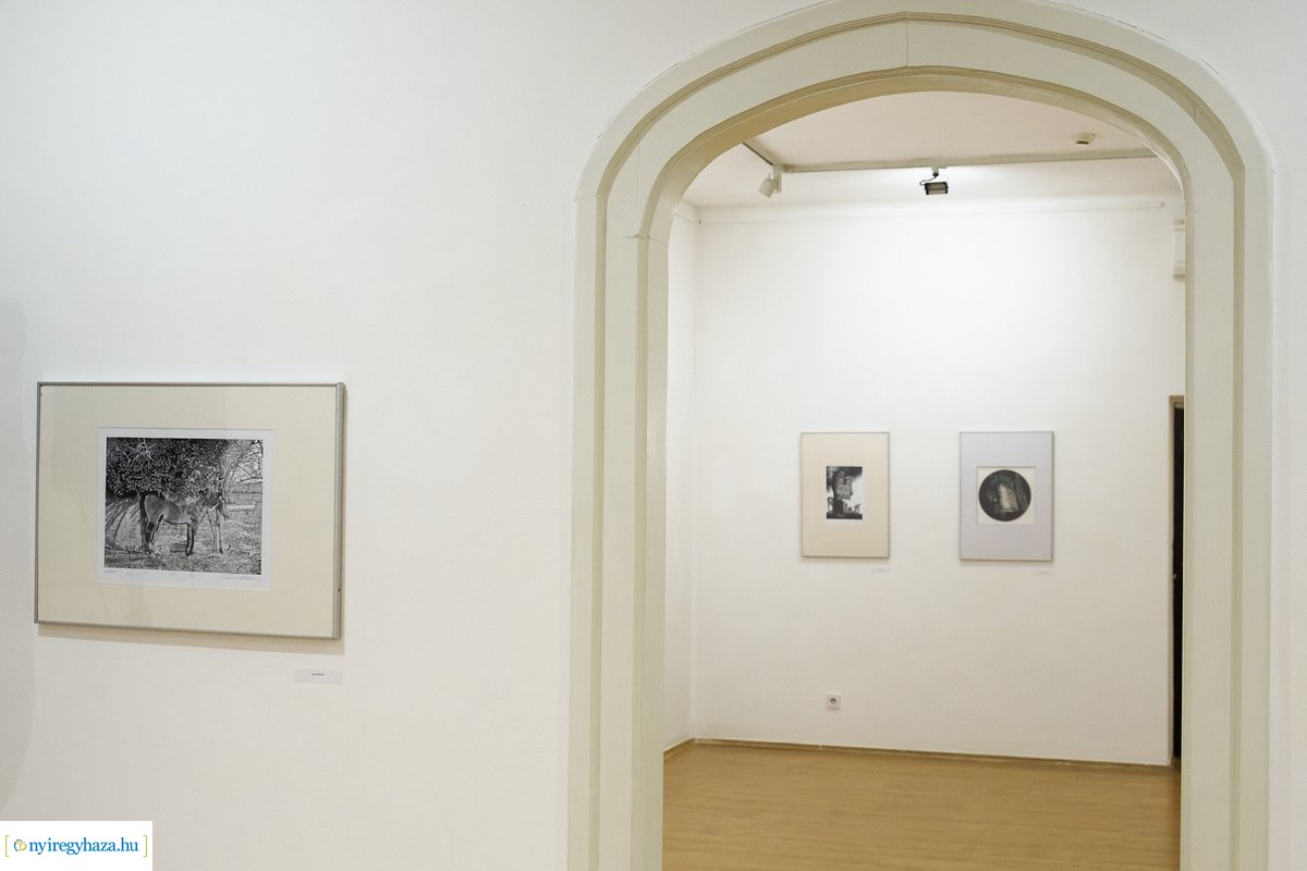 Börcsök Attila grafikusművész kiállítása