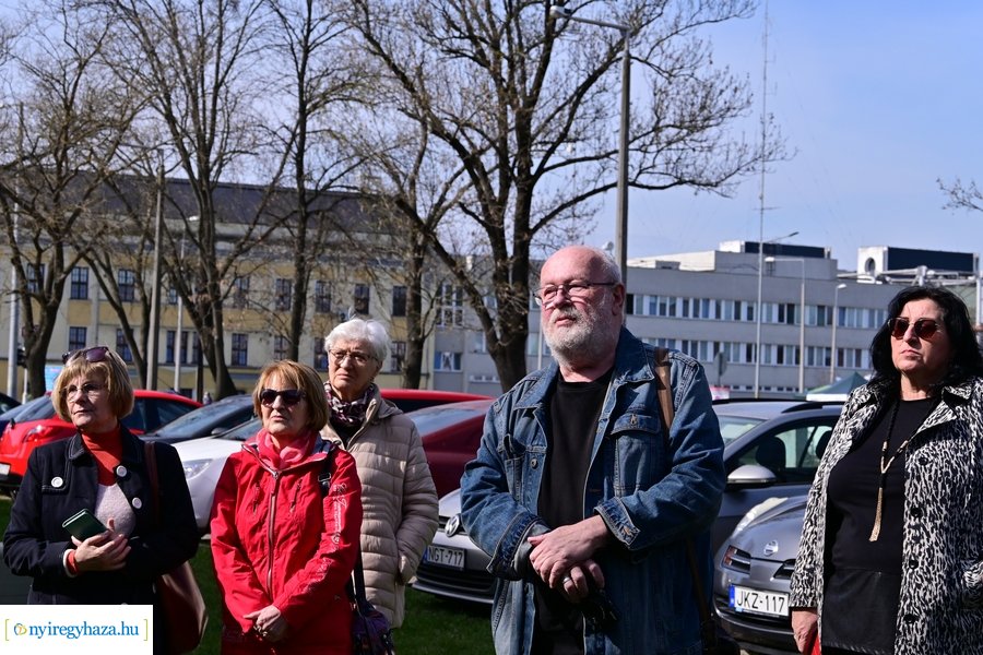 Botlató kő a Bujtos utcán