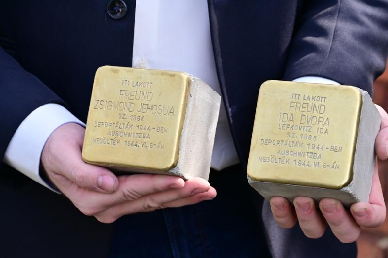 Botlató kő a Bujtos utcán
