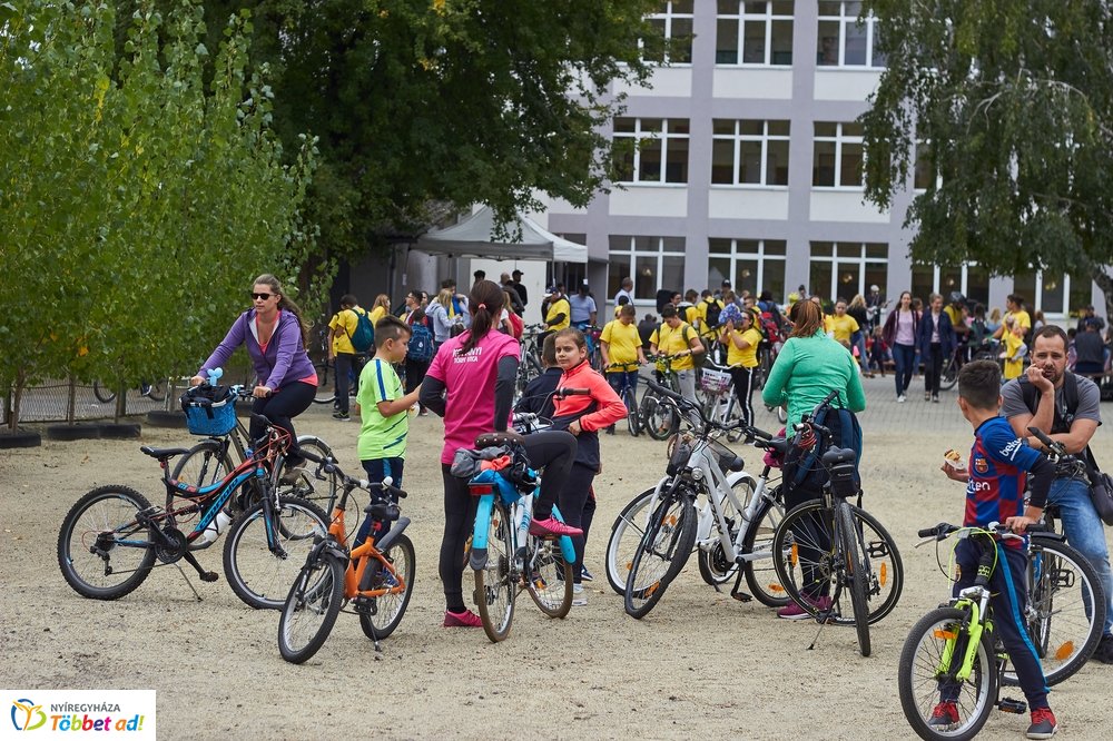 Bringaváros 7.1 - Érkert