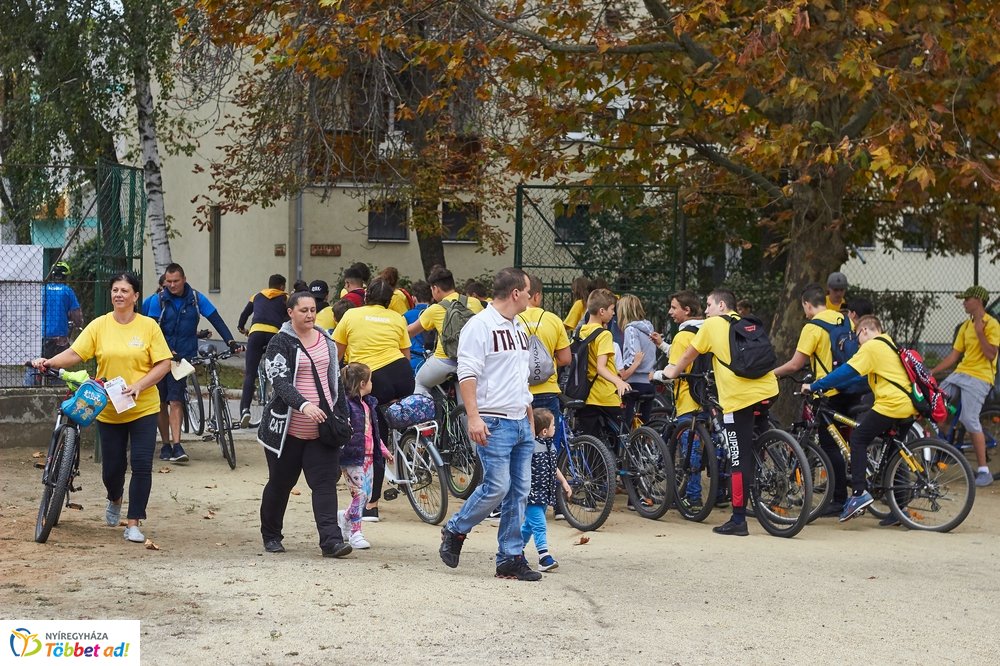 Bringaváros 7.1 - Érkert