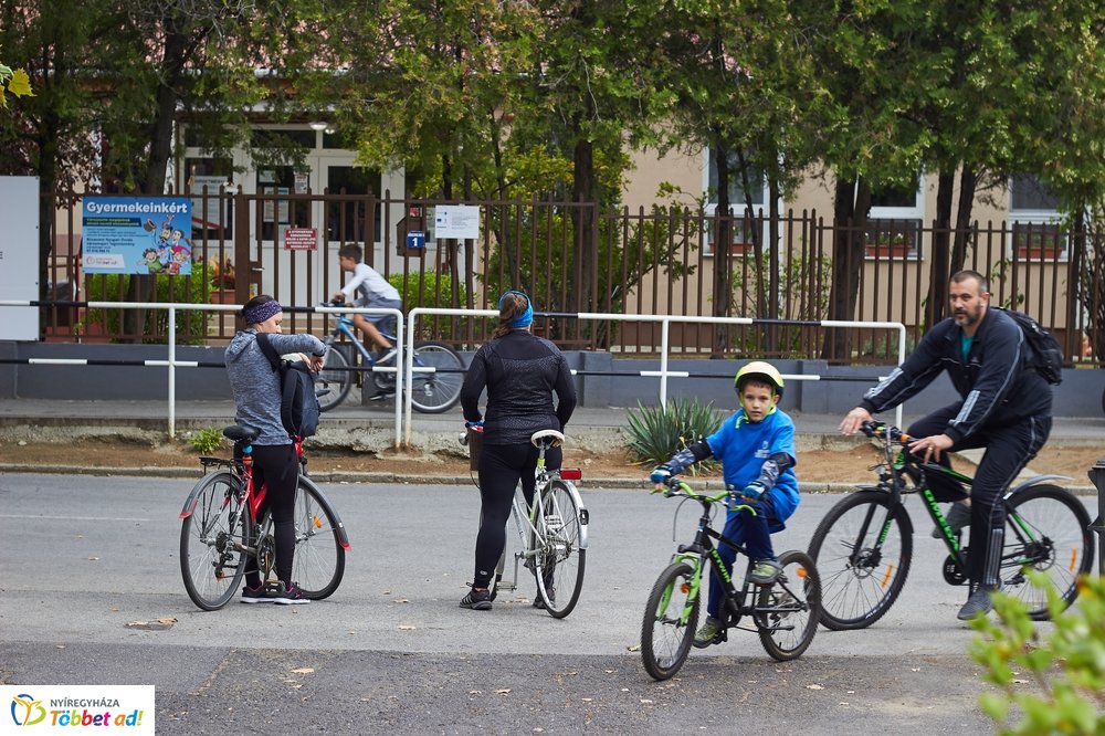 Bringaváros 7.1 - Hímes