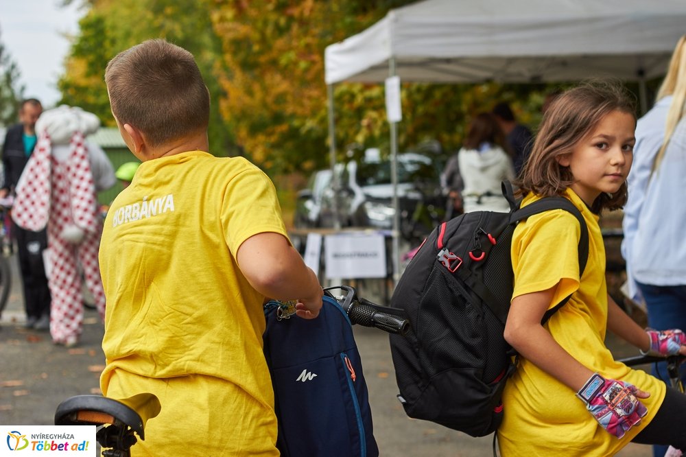 Bringaváros 7.1 - Hímes