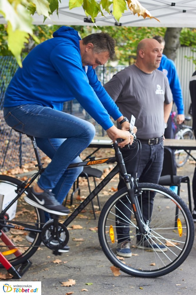 Bringaváros 7.1 - Hímes