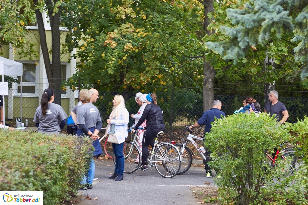 Bringaváros 7.1 - Hímes