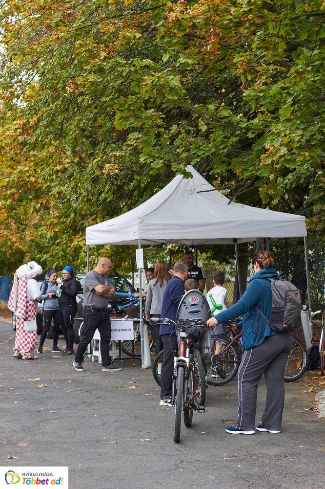 Bringaváros 7.1 - Hímes