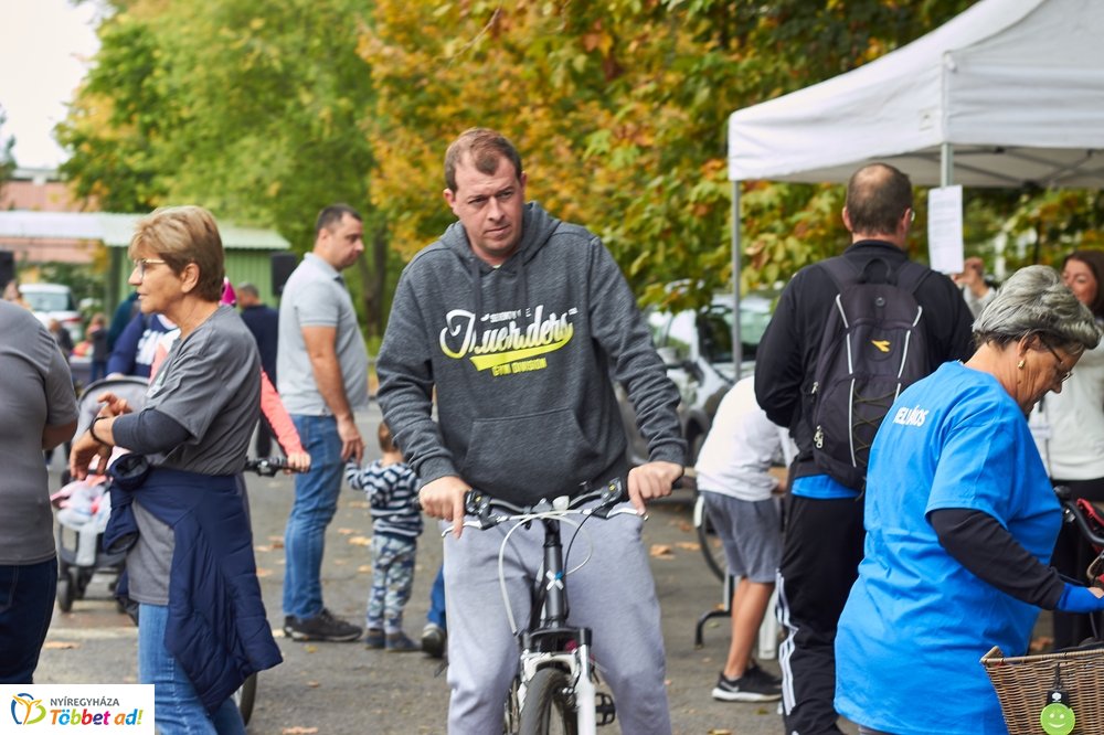 Bringaváros 7.1 - Hímes