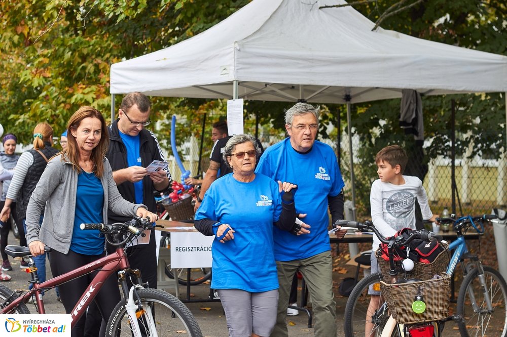 Bringaváros 7.1 - Hímes