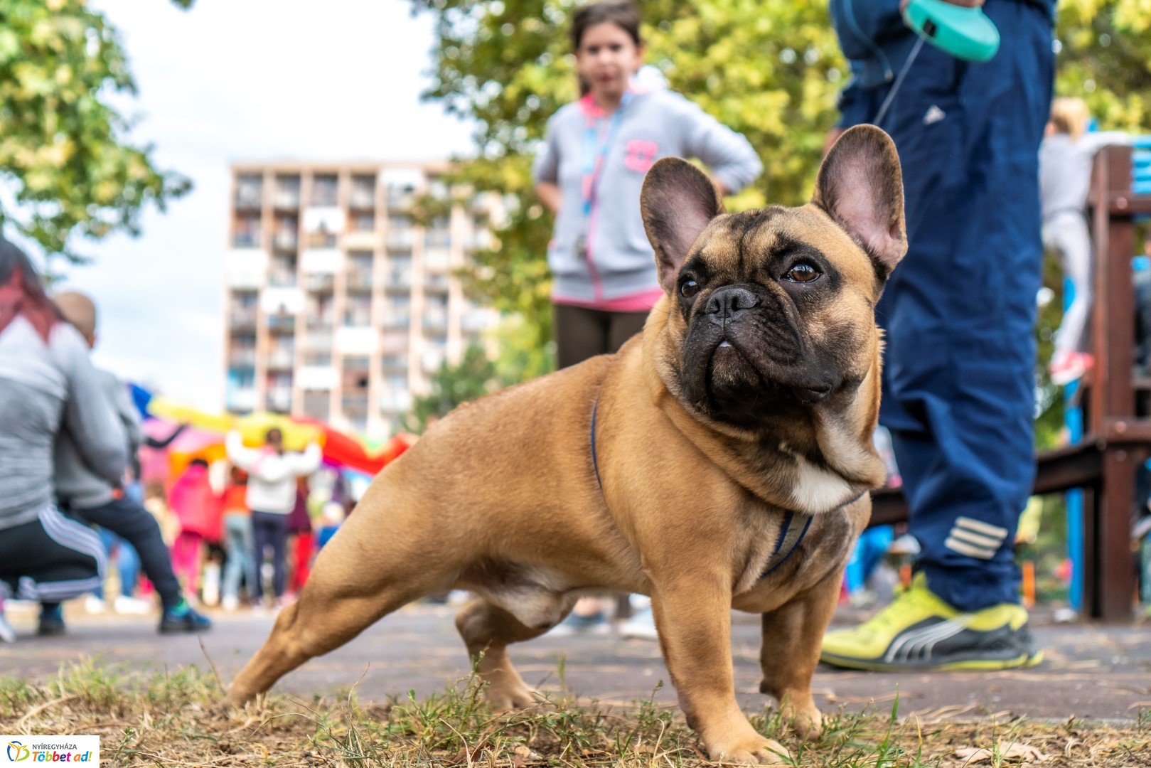 BRINGAVÁROS 7.1   – Jósaváros