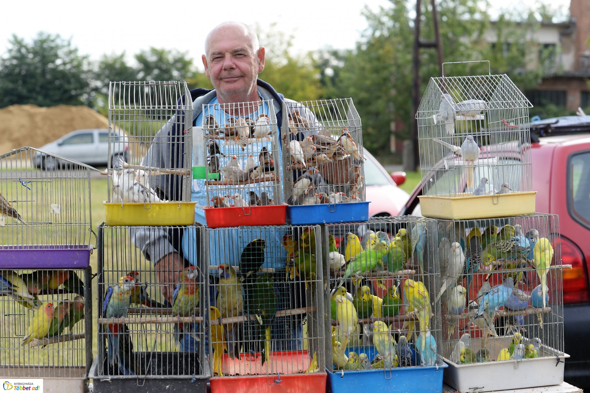 Bringaváros 7.1 - Kertváros