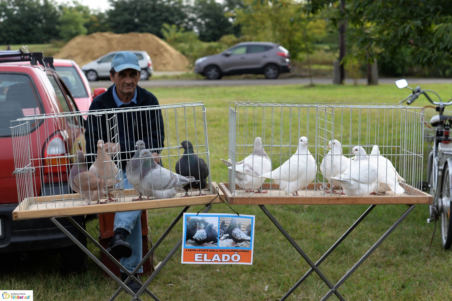 Bringaváros 7.1 - Kertváros