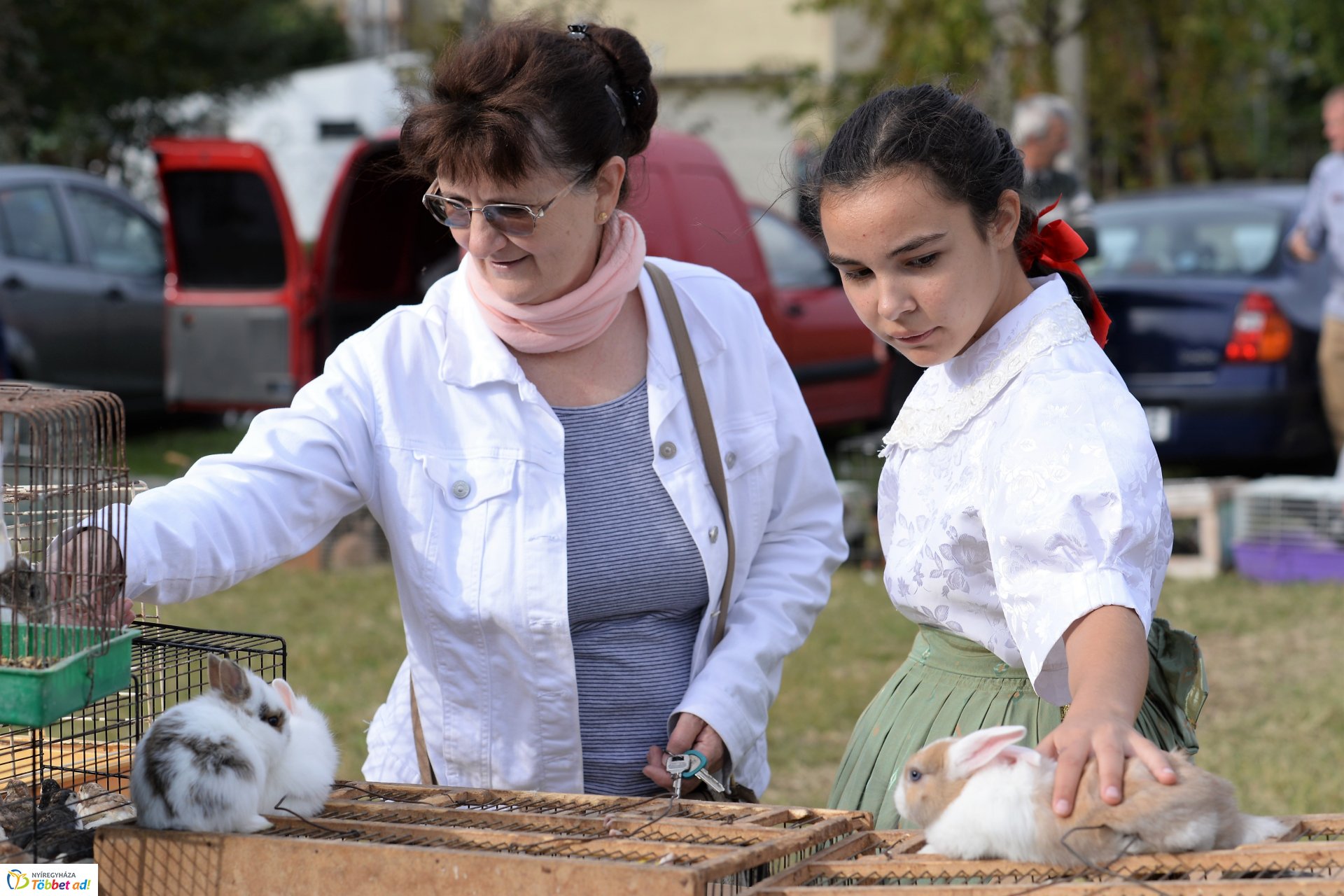 Bringaváros 7.1 - Kertváros