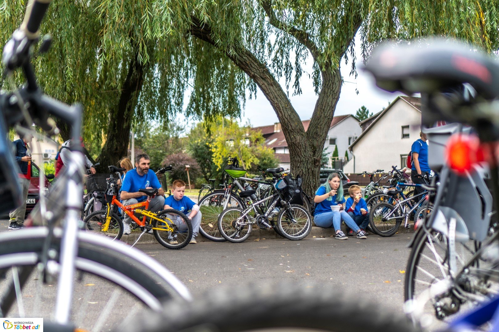 BRINGAVÁROS 7.1   – Korányi