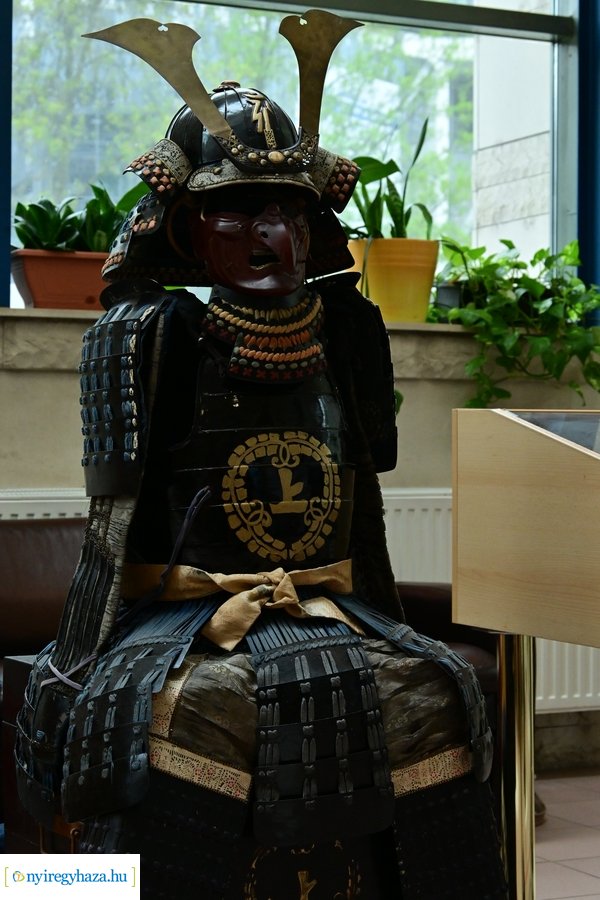 BUDO Gála Nyíregyházán 2024