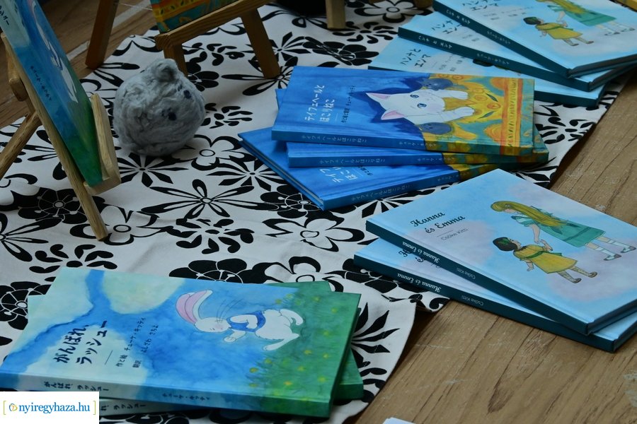 BUDO Gála Nyíregyházán 2024