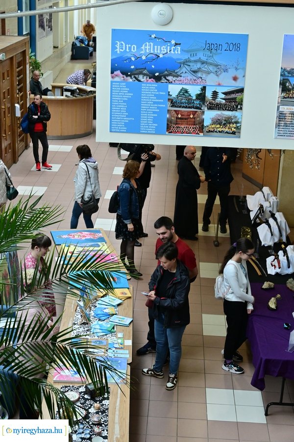 BUDO Gála Nyíregyházán 2024