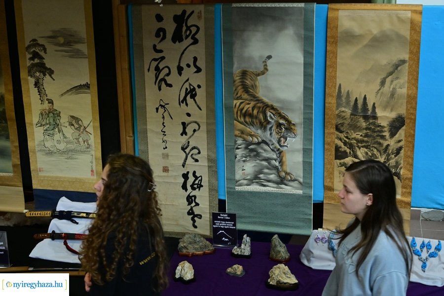 BUDO Gála Nyíregyházán 2024