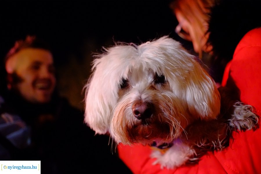 BÚÉK Nyíregyháza ! 2024