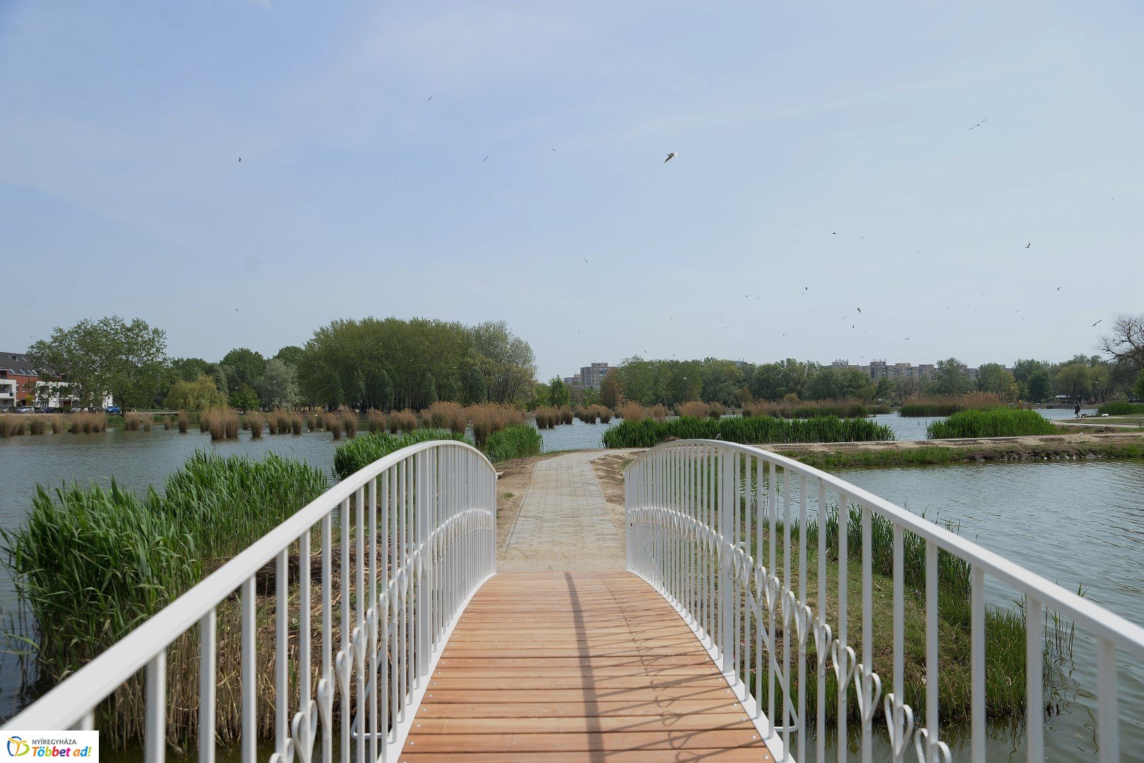 Bujtos felújítás 2019.04.26.