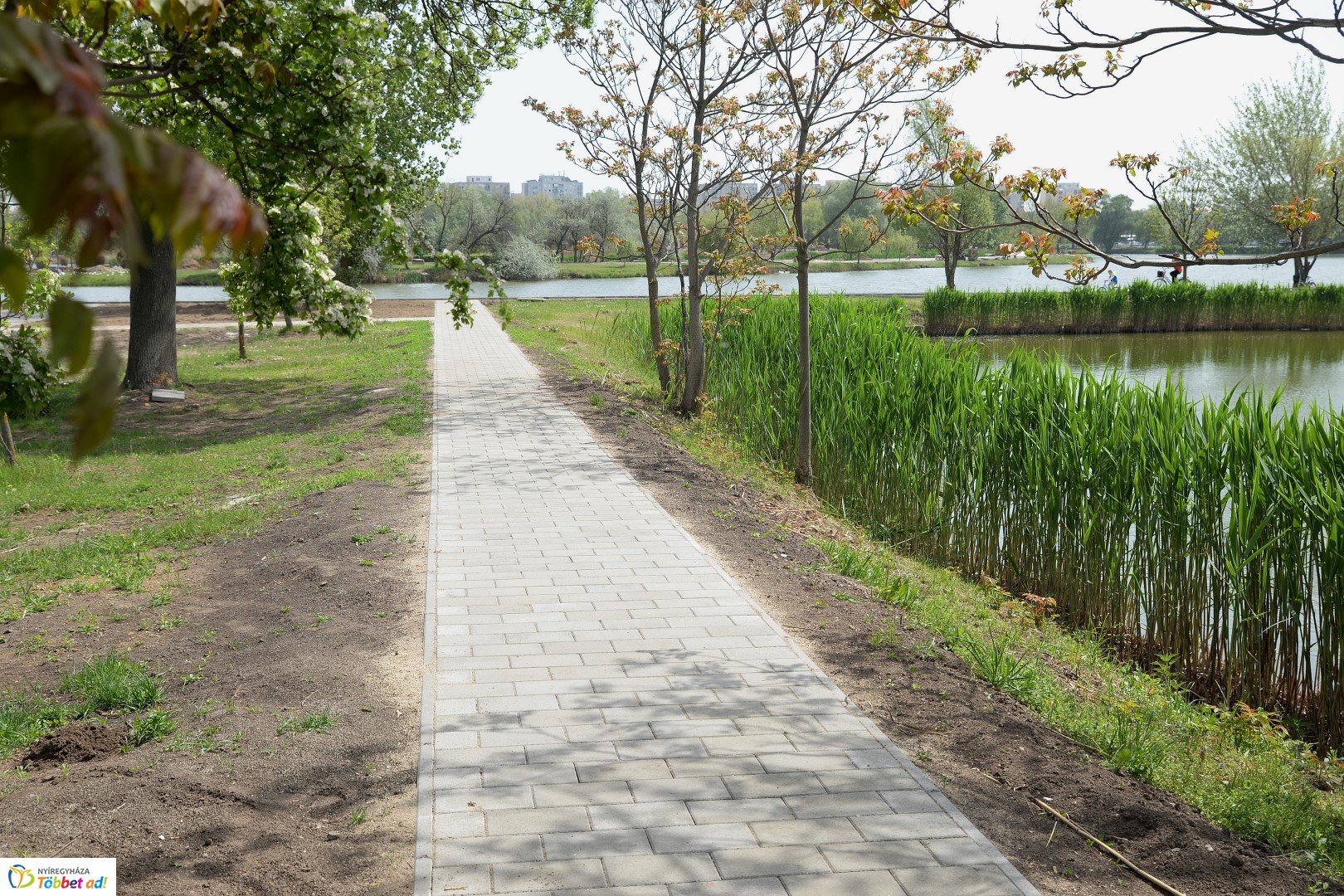 Bujtos felújítás 2019.04.26.