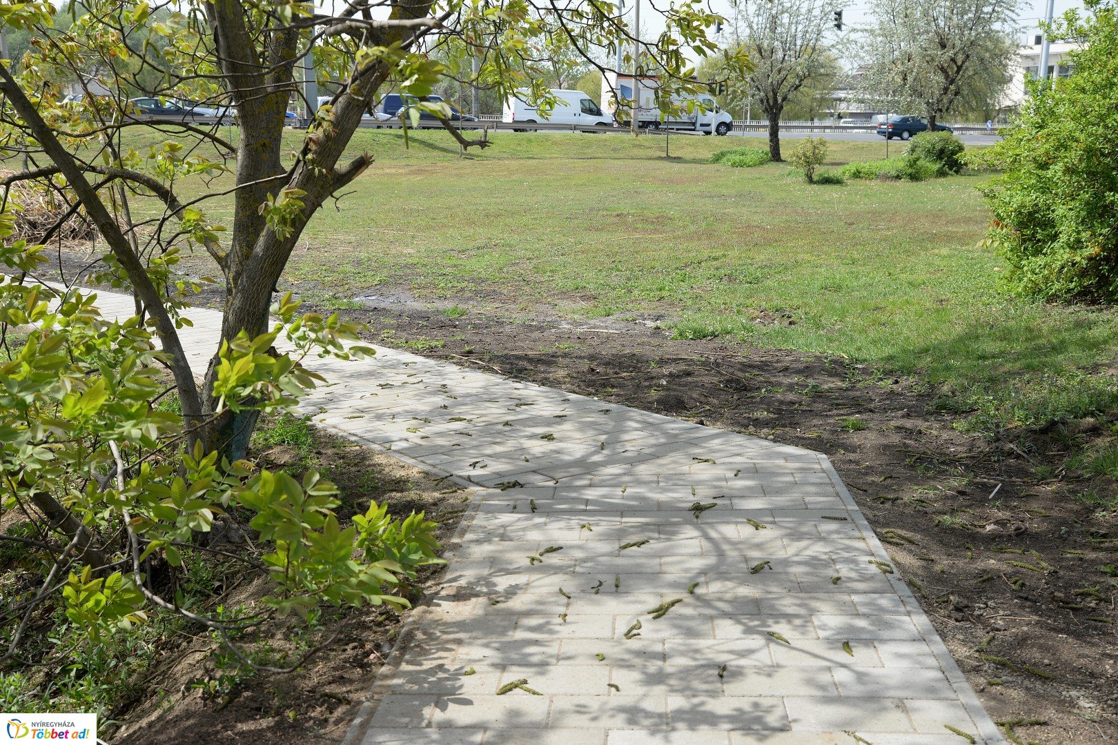 Bujtos felújítás 2019.04.26.