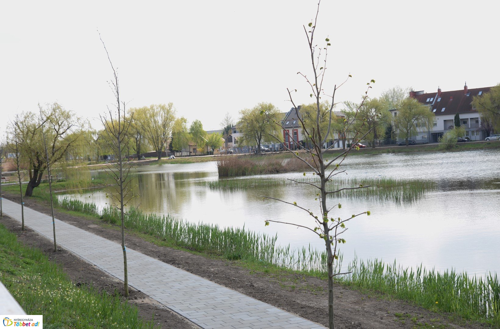 Bujtos felújítása 2019.04.10.