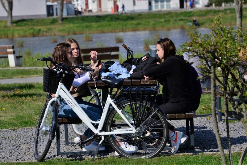 Bujtosi piknik