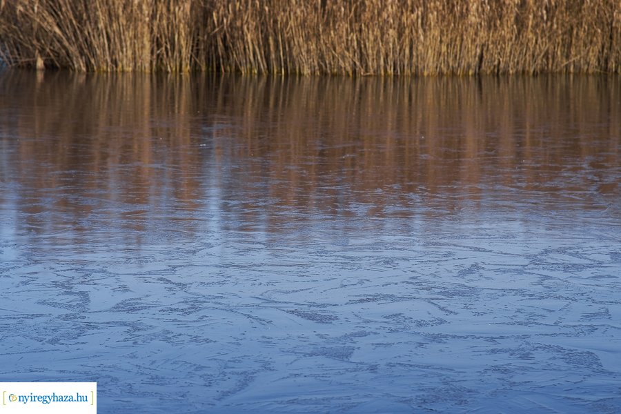 Bujtosi Városliget 20201227