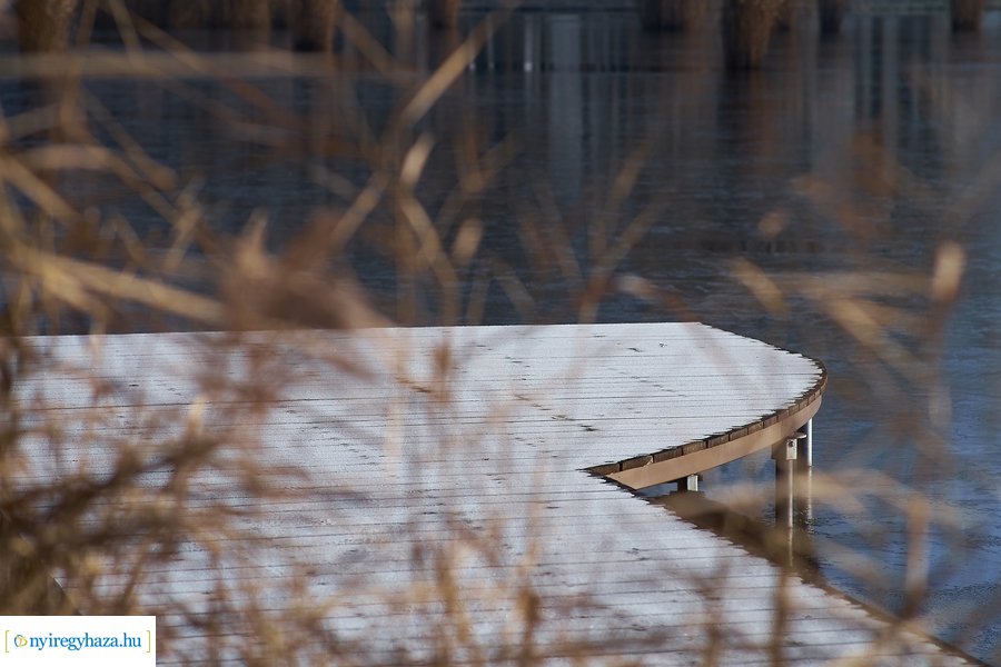 Bujtosi Városliget 20201227