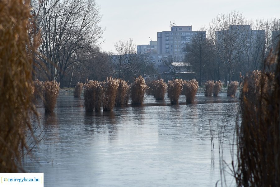Bujtosi Városliget 20201227