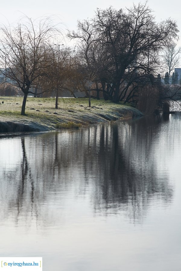 Bujtosi Városliget 20201227