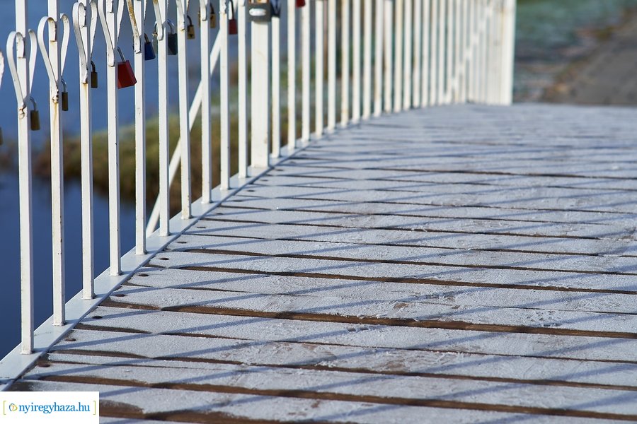 Bujtosi Városliget 20201227