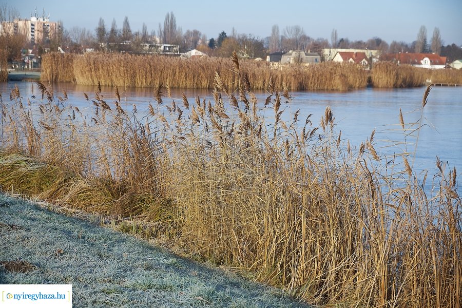 Bujtosi Városliget 20201227