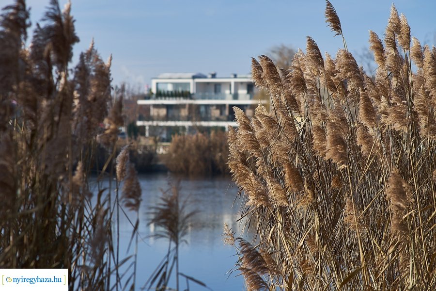 Bujtosi Városliget 20201227