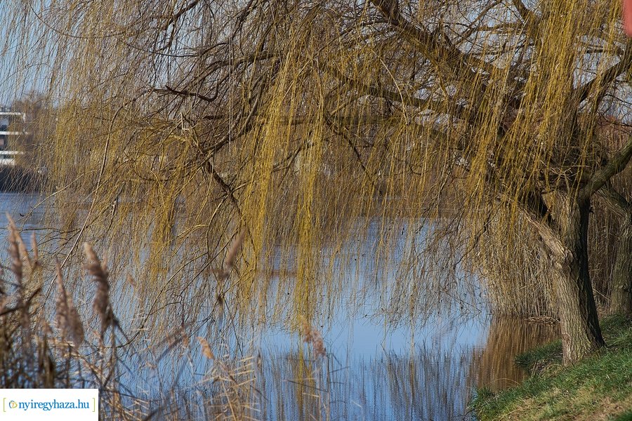 Bujtosi Városliget 20201227