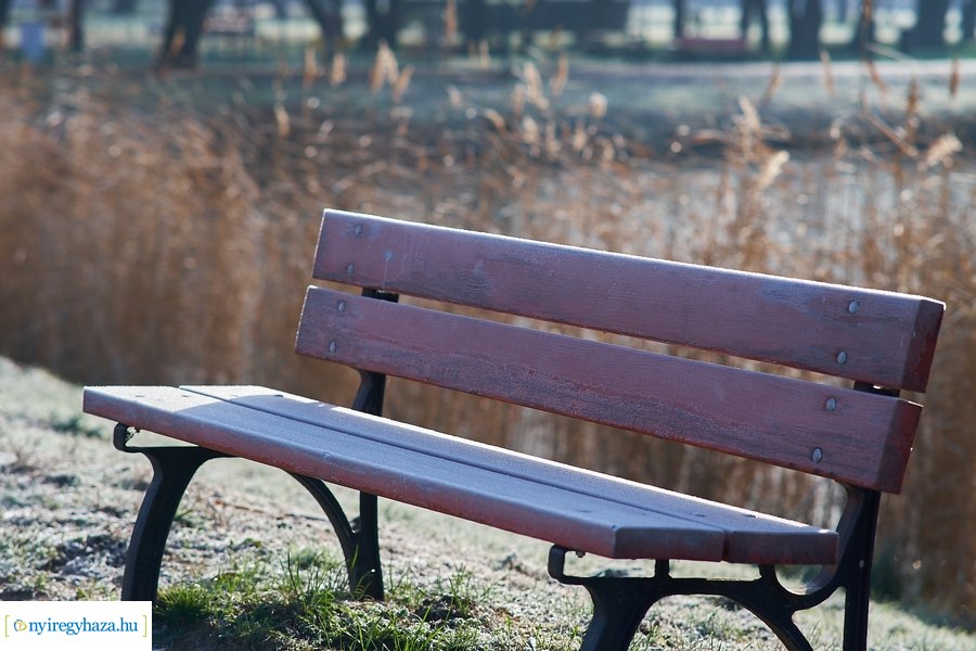 Bujtosi Városliget 20201227