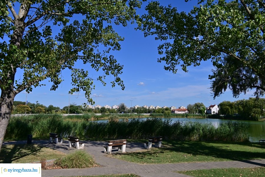Bujtosi Városliget 20240729