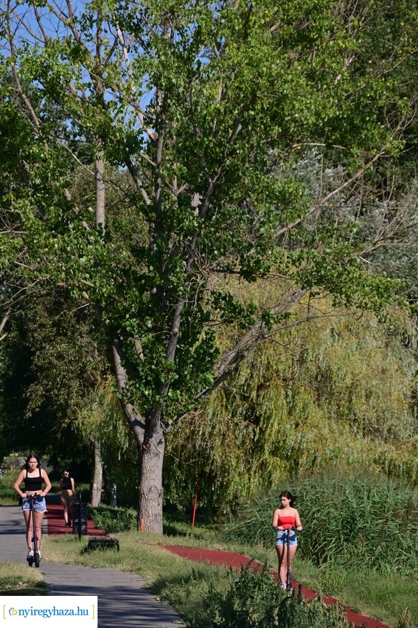 Bujtosi Városliget 20240729