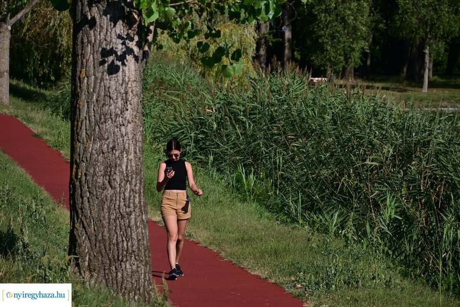 Bujtosi Városliget 20240729