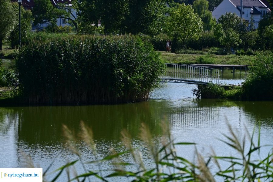 Bujtosi Városliget 20240729
