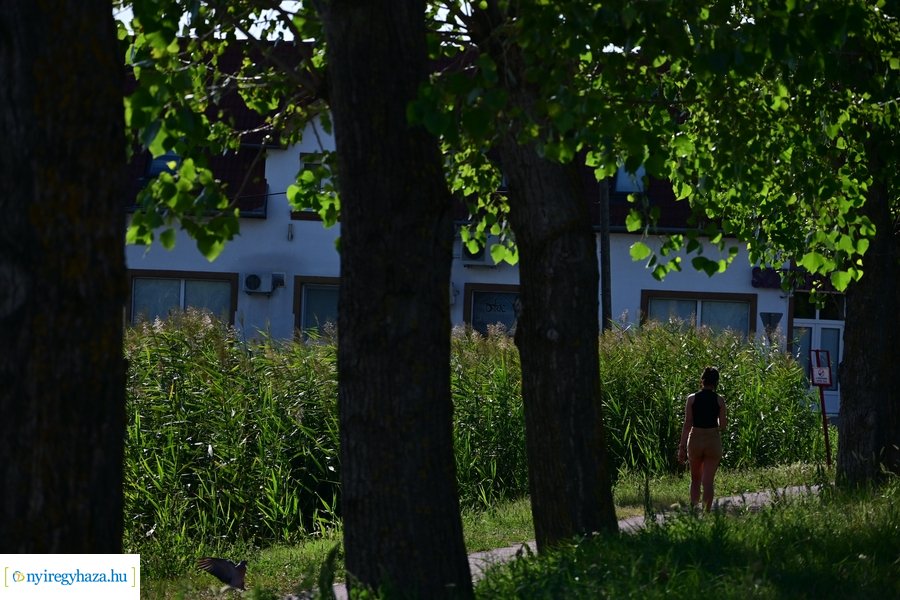 Bujtosi Városliget 20240729